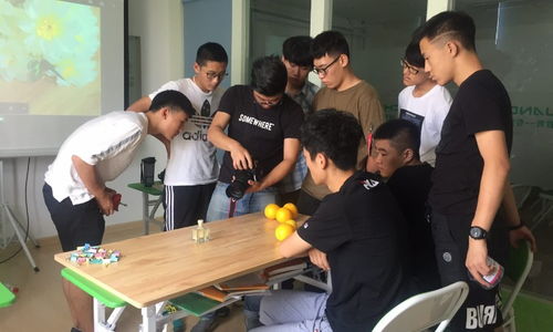 青島創(chuàng)藝教育與淘學(xué)培訓(xùn) 教育咨詢(xún)服務(wù)體驗(yàn)深度解析