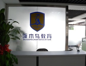 啄木鳥教育喜獲2500萬元投資，專注深化留學(xué)咨詢服務(wù)